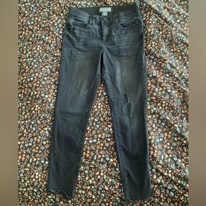 DEMOCRACY Jeans - Ab Technology